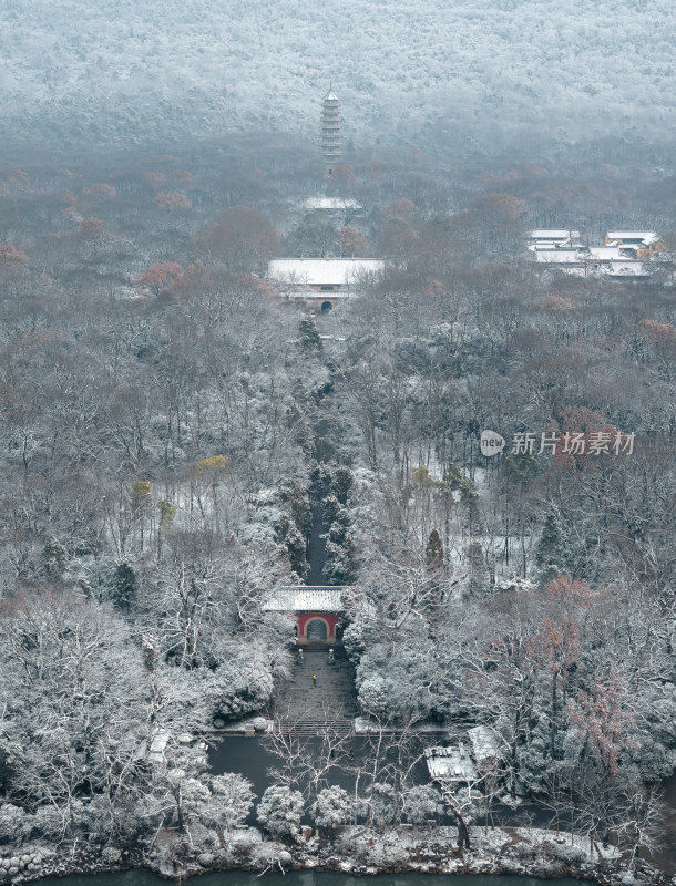 南京灵谷寺雪后山林中的古建筑，静谧悠远