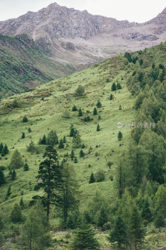 川西四姑娘山