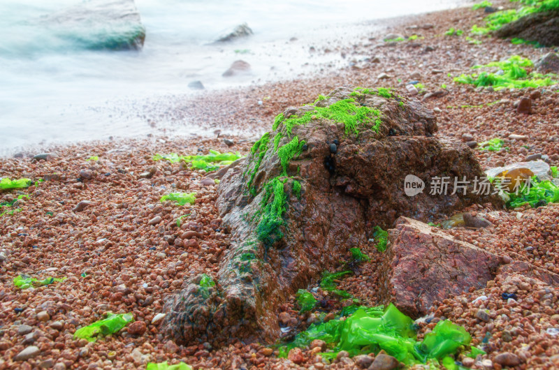 山东青岛太平角公园的海边礁石