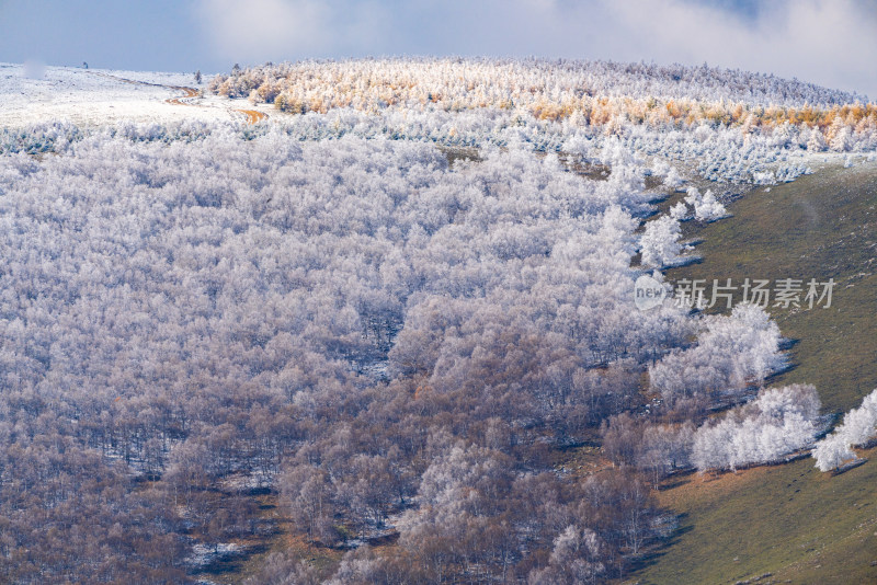 山林雪景，银装素裹的美丽自然景观