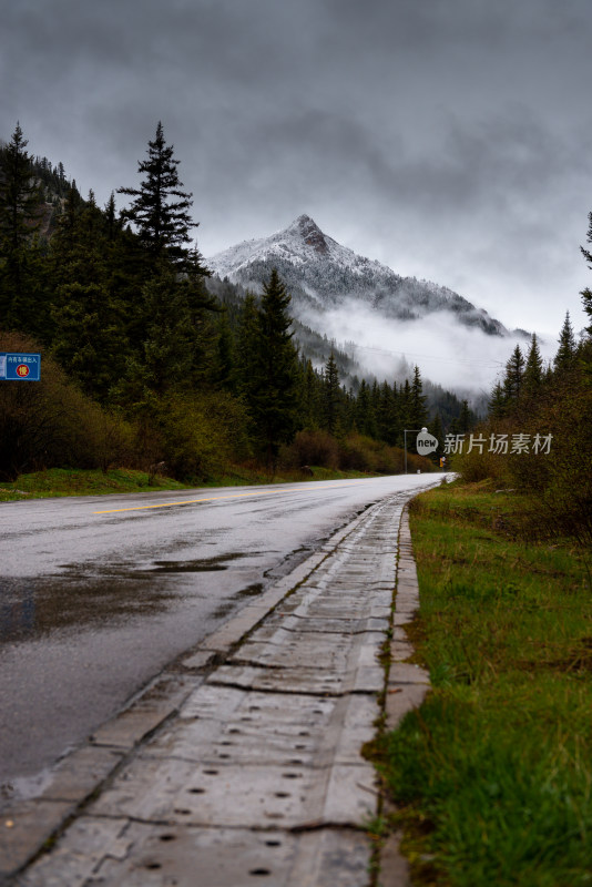 雪山森林里的公路