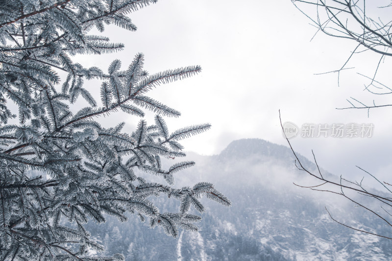 毕棚沟冬季景观