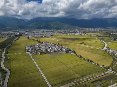 大理稻田航拍风光