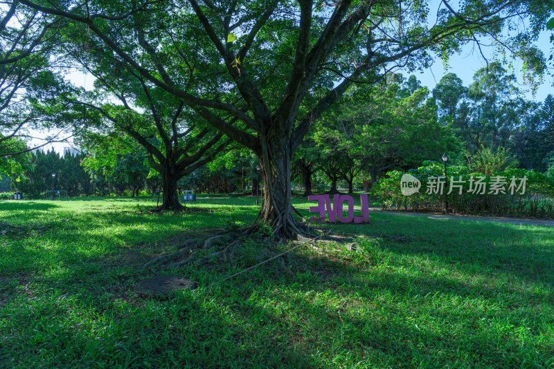 广州南沙蒲洲花园绿色草坪树林自然景观