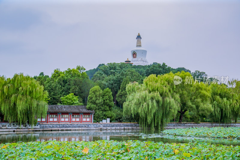 北京北海公园风光