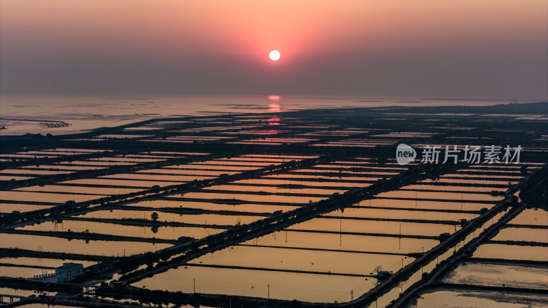 水产养殖：廉江市龙营围万亩虾田