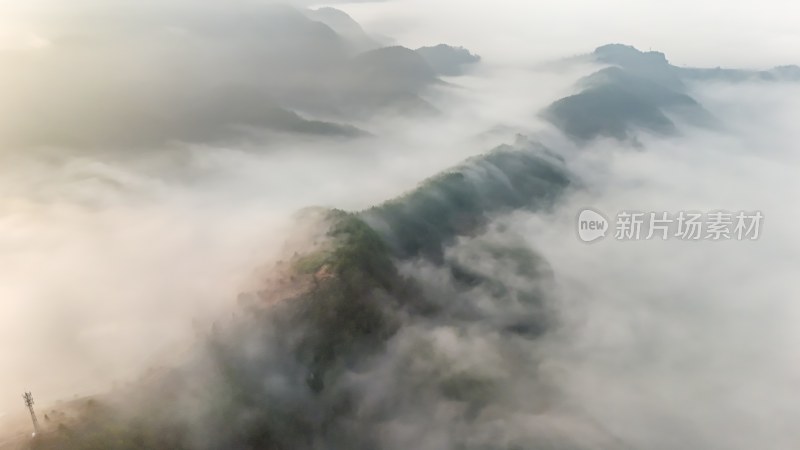 重庆酉阳：月亮村的云端仙境