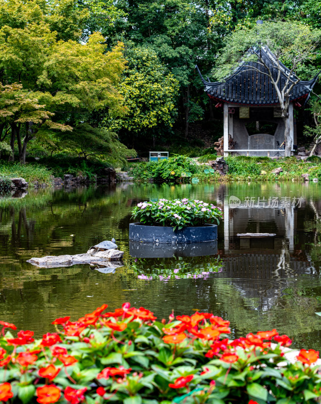 上海植物园自然风景景点景观