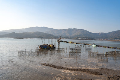 福建宁德霞浦县城红树林湿地涂滩海边景观