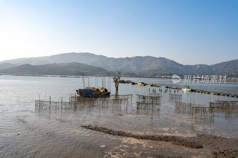 福建宁德霞浦县城红树林湿地涂滩海边景观