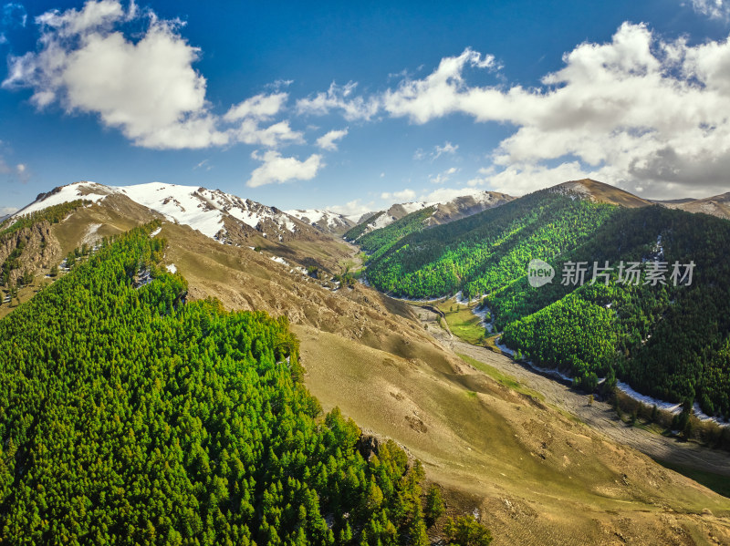 航拍雪山森林