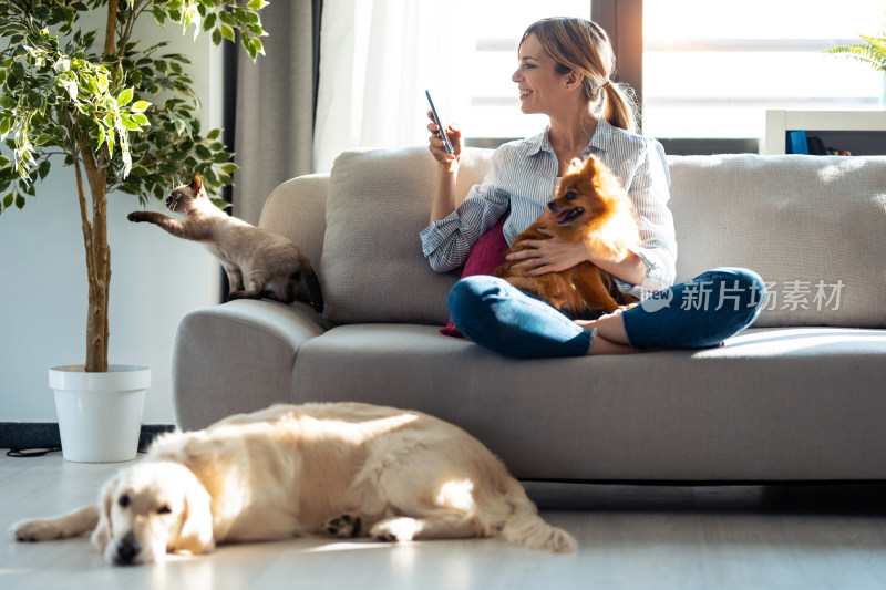女子沙发上与猫狗休闲互动