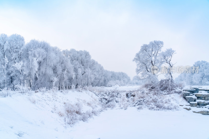 冬季雪景