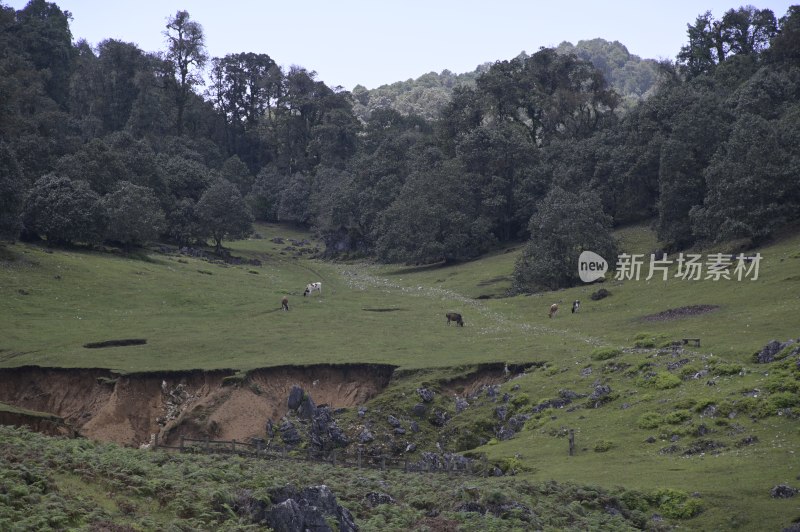 山林自然风光