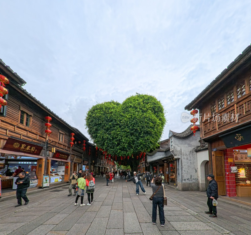 三坊七巷古街心形大树下的人群景象