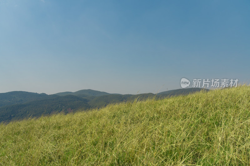 高山草甸蓝天户外风光