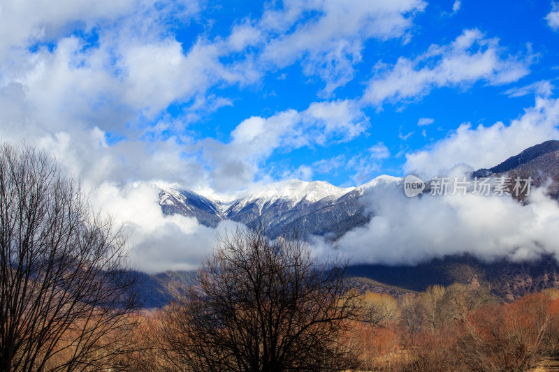 中国西藏林芝雅鲁藏布江苯日神山旅游区