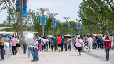 2024年成都世界园艺博览会的人流