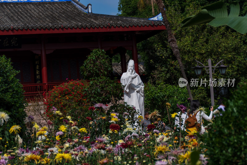 福州西湖公园菊花展