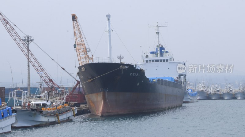 韩国游轮货轮船舶