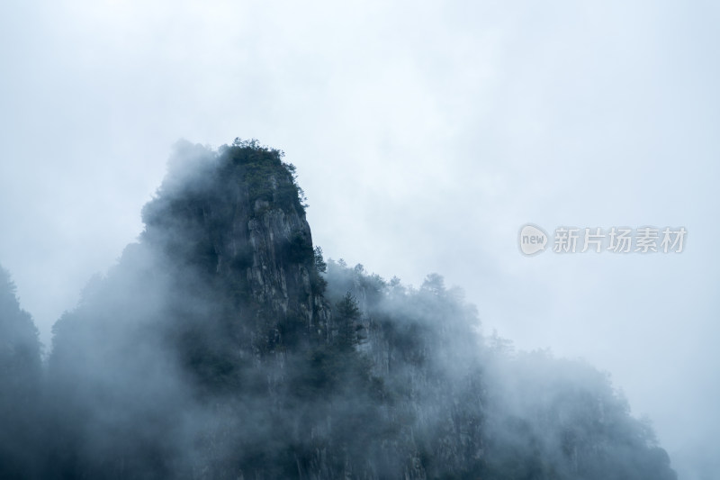 云雾缭绕的高山森林