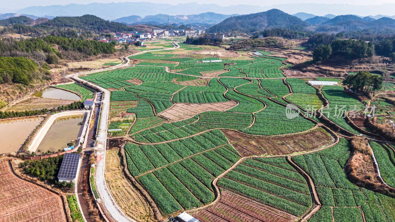 俯瞰乡村农田风光