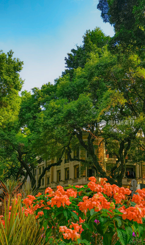 广州市沙面景区的欧式建筑