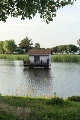 公园湖中央的小屋