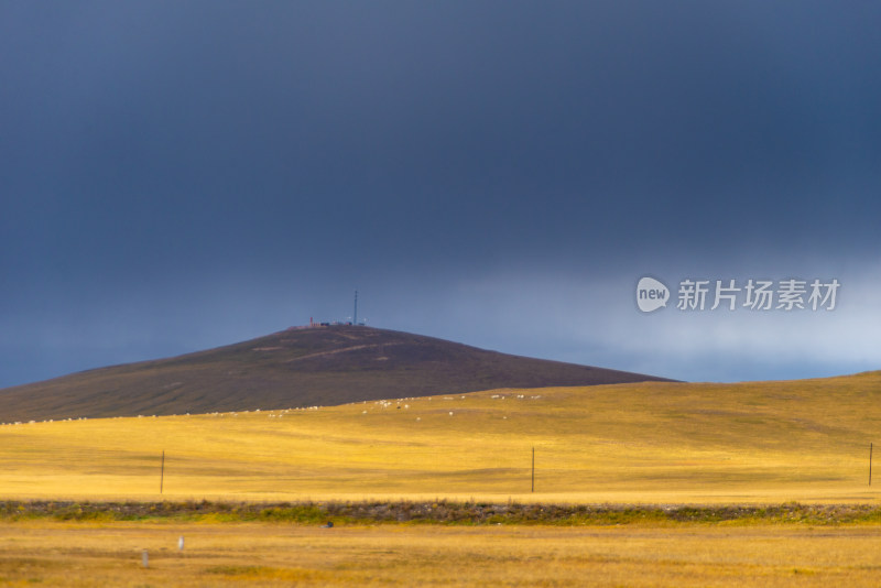 赤峰牧场