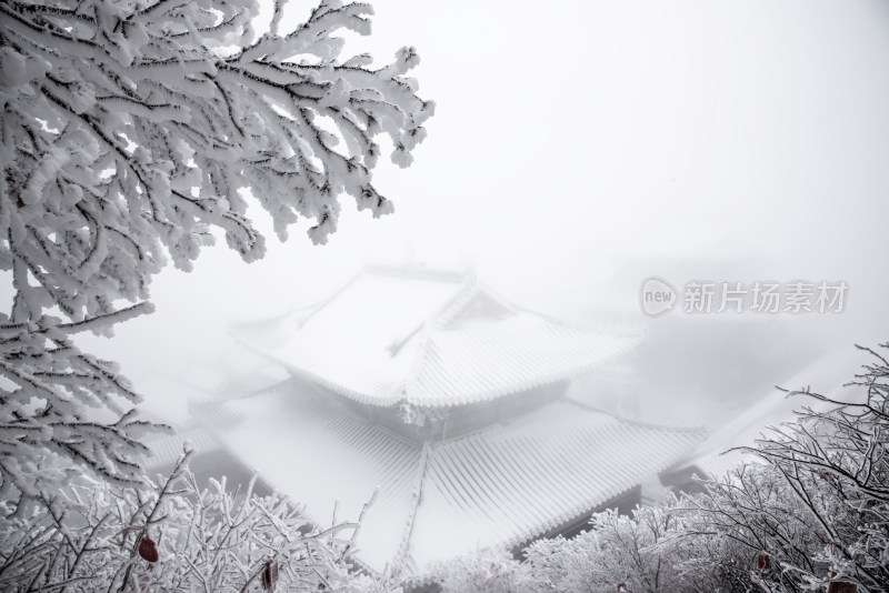 寒冷冬天大雪迷雾中的老君山