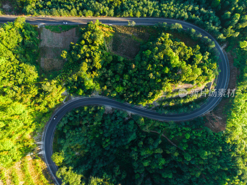 蜿蜒公路穿越茂盛丛林的鸟瞰图