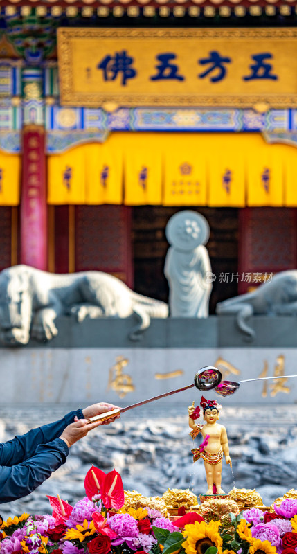 陕西西安大兴善寺佛教景点景观