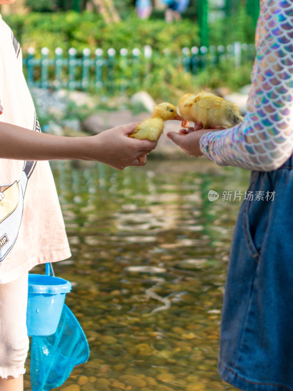 水边两人手中传递可爱小黄鸭的温馨场景