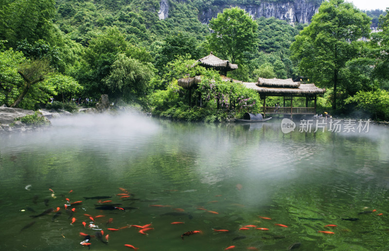 山水间池塘锦鲤与茅草亭景观