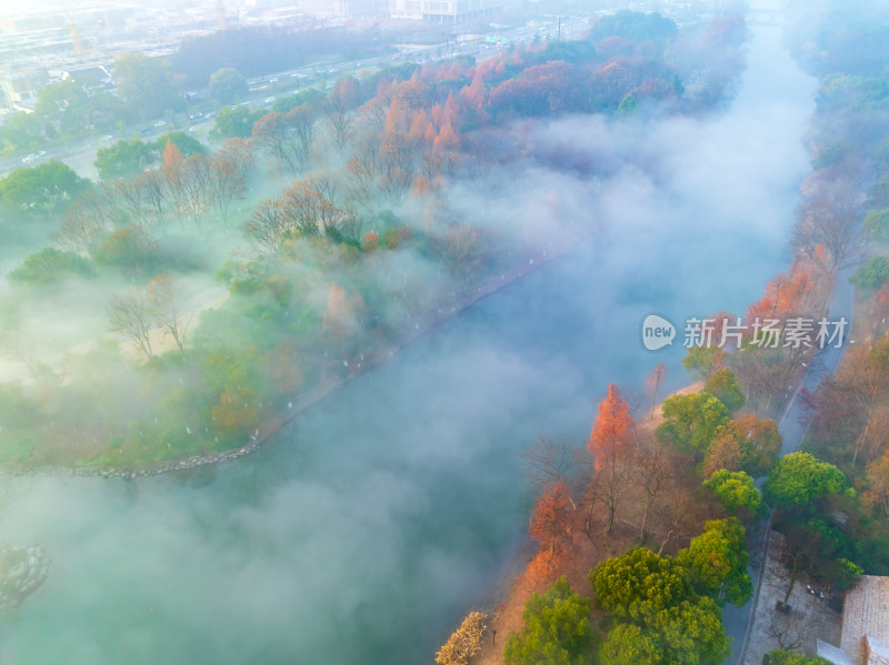 杭州西溪湿地自然风光