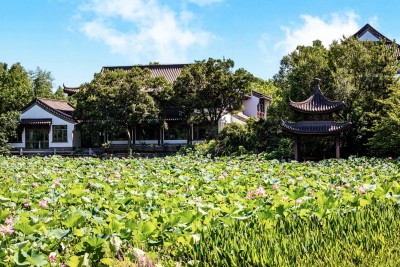 南京玄武湖中式建筑旁的荷花池景观