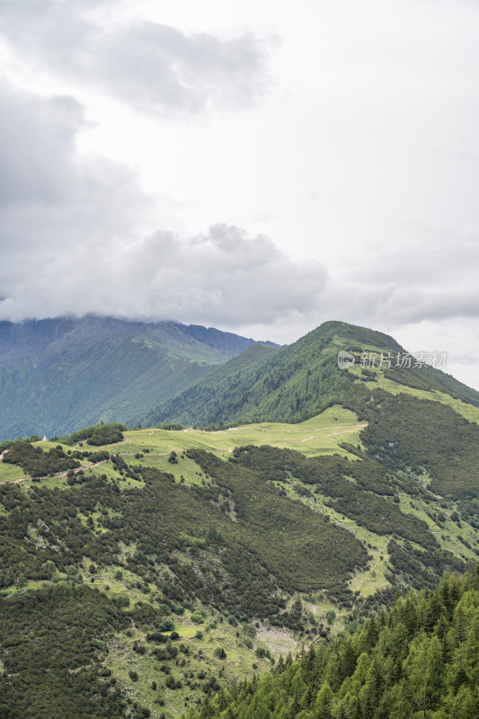 四川四姑娘山双桥沟自然风景