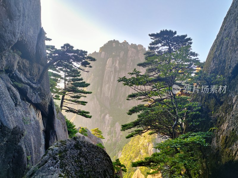 壮观的黄山奇峰景观