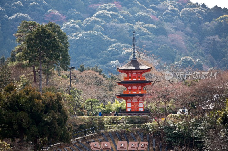 日本清水寺