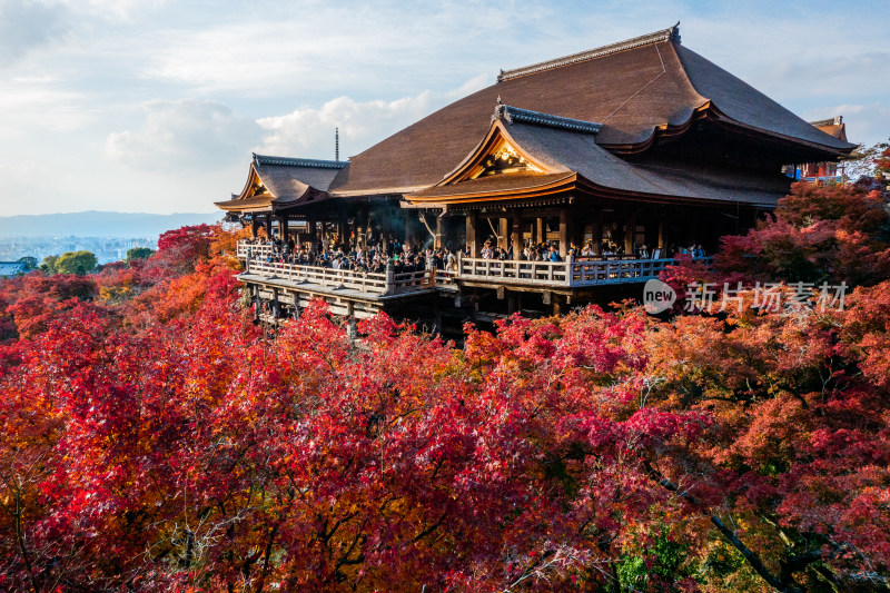 清水寺 寺庙 枫叶 红叶 日本