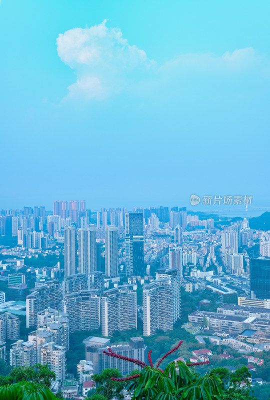 深圳南山公园看前海城市高楼建筑与海景