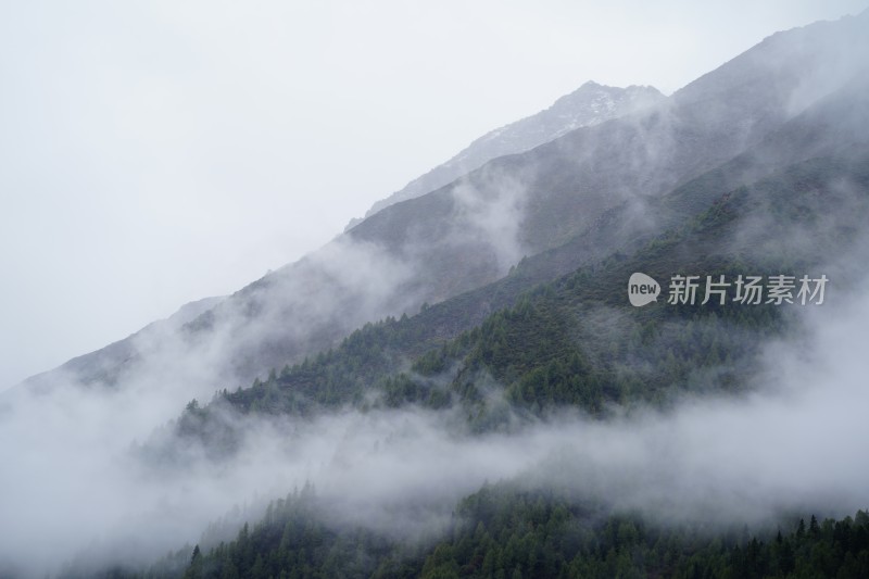 四川阿坝藏族羌族自治州四姑娘雪山风貌