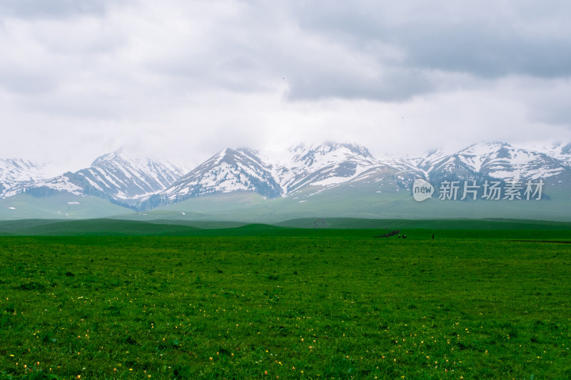 新疆伊犁那拉提雪山草原风光