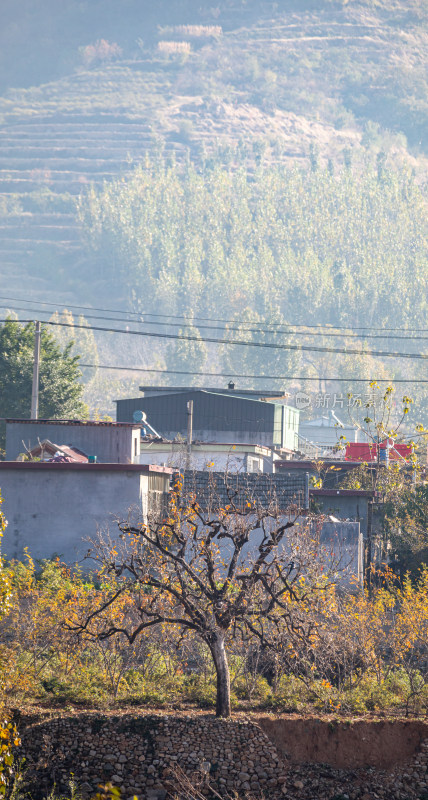 乡村民居与远山秋景