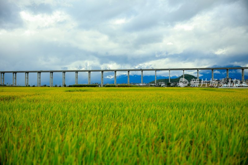 田野上的高架桥风景