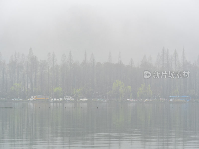 杭州西湖花港观鱼风景