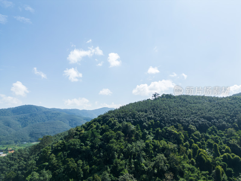 航拍层峦叠嶂的热带雨林