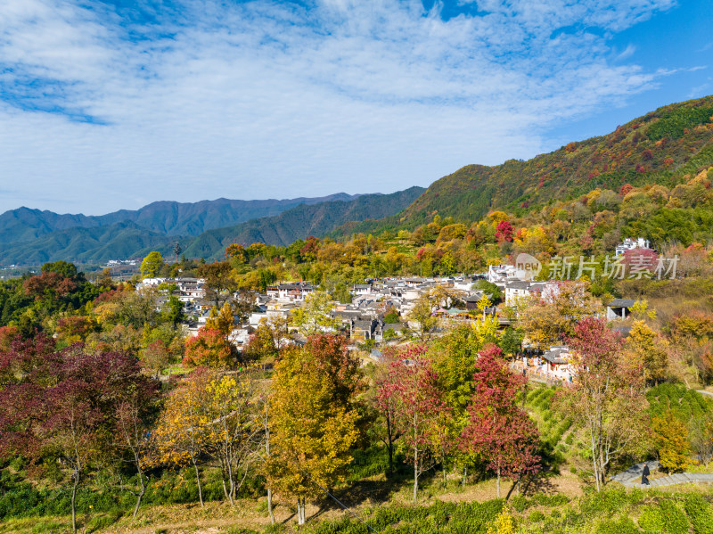 皖南秋色塔川国家森林公园