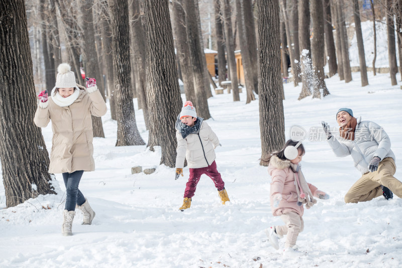 雪地里打雪仗的快乐家庭