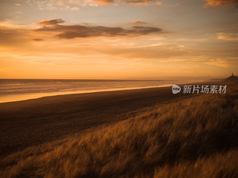 新西兰Muriwai beach 鸟岛塘鹅栖息地海滩